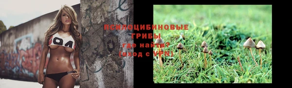 марки lsd Пересвет