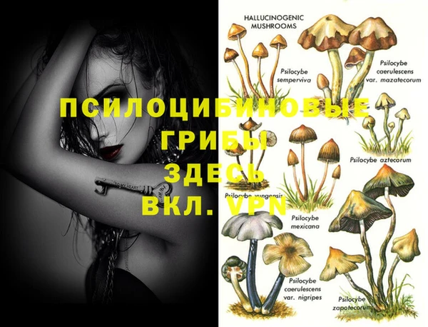 PSILOCYBIN Пестово