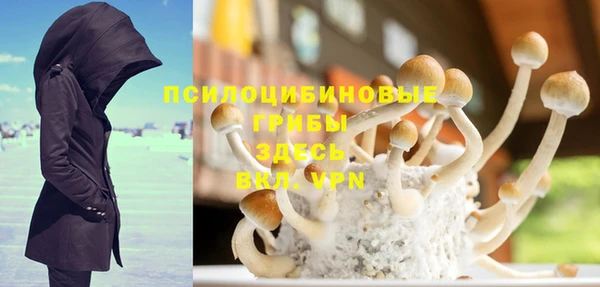 PSILOCYBIN Пестово