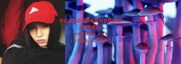 дурь Переславль-Залесский