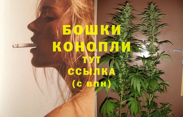 дурь Переславль-Залесский
