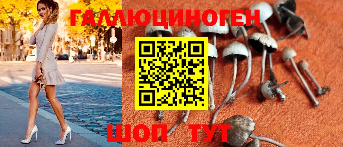 Псилоцибиновые грибы MAGIC MUSHROOMS  Псилоцибиновые грибы Cubensis  Усть-Кут  Вход с VPN 